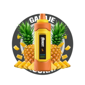 POD DESECHABLE IMOMENT XIXA - PIÑA