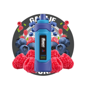 POD DESECHABLE IMOMENT - BLUEBERRY RASPBERRY